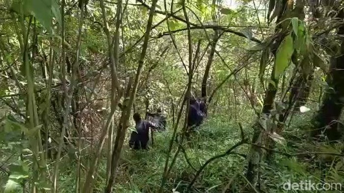 Proses pencarian pendaki yang hilang