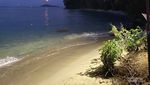 Jarang Terdengar Tapi Bagusnya Tiada Tara, Diving di Pulau Dionumo Gorontalo Utara