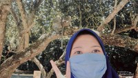 Pada foto ini menunjukan traveler akan mendapati banyak monyet di Pasir Putih Pantai Pangandaran ini dan juga foto bareng dengan mereka.