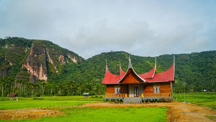 Minangkabau house or Rumah Gadang in a beautiful landscape view of Harau Valley with mountains valley and grass view, West Sumatra, Indonesia. Beautiful Minangkabau, Indonesia Landscape.