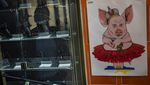 Invasi Rusia Masih Gaspol, Warga Ukraina Ramai-ramai Beli Senpi
