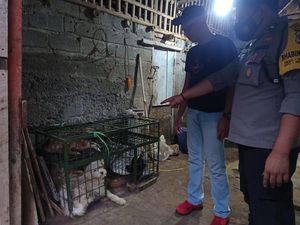 Pemkab Blitar Terbitkan SE Larangan Peredaran Daging Anjing dan Kucing