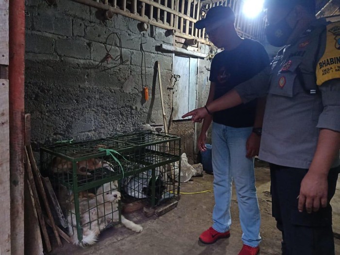 jagal anjing di blitar