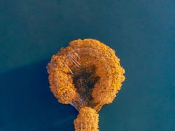 Karya Jawara Kontes Foto Drone SkyPixel 2022 Bikin Mata Terperangah