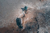 Jawara SkyPixel 2022