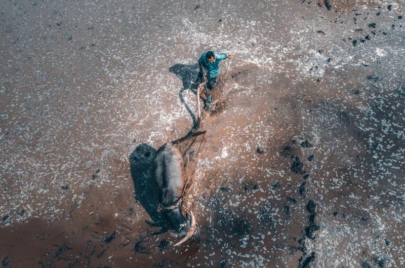 Jawara SkyPixel 2022