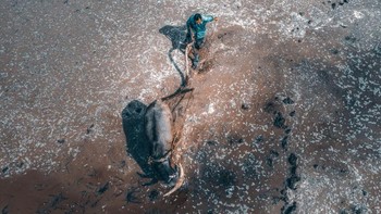 Karya Empty Mountain Bird menggunakan DJI Mavic 2 Pro. 1/120sec at f/6.3, ISO 100.  Foto: SkyPixel
