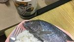 10 Cara Masak Tanpa Minyak Goreng Ini Bikin Ngakak