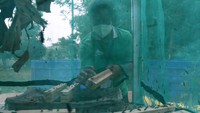 Para pekerja memanen Maggot di tempat peternakannya. OJK mendukung perluasan dan pengembangan Bank Wakaf Mikro sebagai bentuk penyediaan akses keuangan dan pemberian pendampingan kepada para pelaku UMKM, khususnya yang berada di lingkungan pondok pesantren.