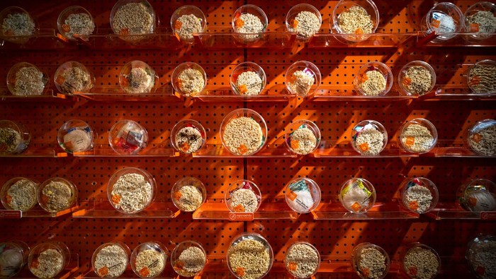 A student browses instant noodles at the Good Noodle store in Bangkok, Thailand, March 21, 2022. Picture taken March 21, 2022. REUTERS/Athit Perawongmetha