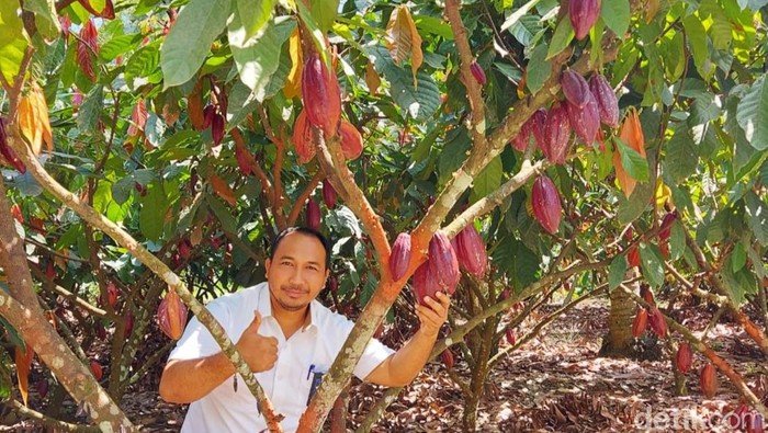 Edel, Cokelat Terbaik di Dunia dari Banyuwangi