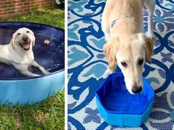 Belanja Online yang Bikin Kesal, Tak Sesuai Dengan Iklannya