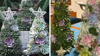 Hati-hati berbelanja di toko online. Ini adalah perbedaan mencolok apa yang dibeli ibuku dan saya beli sendiri. Foto: Brightside