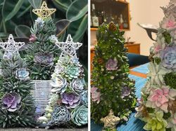 Belanja Online yang Bikin Kesal, Tak Sesuai Dengan Iklannya