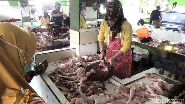 harga ayam di trenggalek