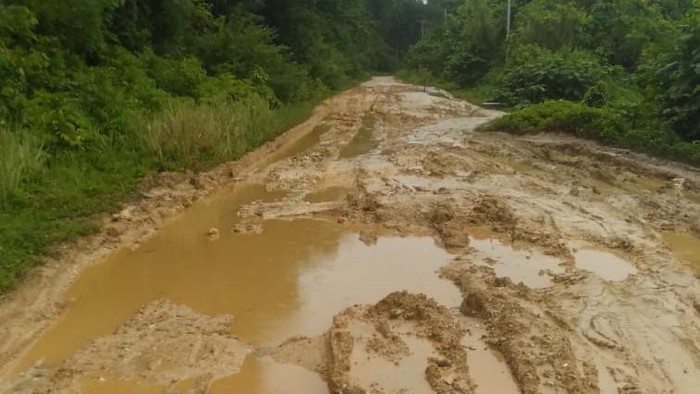 Jalan rusak di Pulau Enggano, Bengkulu (dok. Istimewa)
