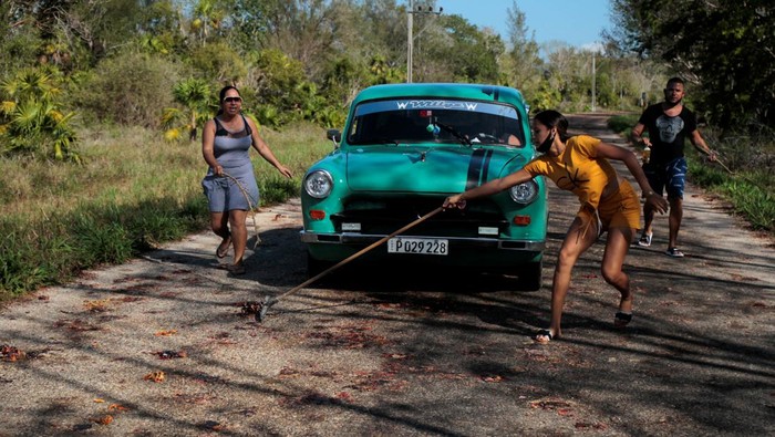 Jalanan Kuba Diserbu Jutaan Kepiting, ini Penampakannya Jalanan di kawasan Kuba dipenuhi jutaan kepiting. Kepiting-kepiting itu berbaris dari hutan di seberang jalan menuju area laut untuk bertelur.
