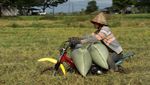 Ada Jasa Ojek Pertanian Lho di Takalar