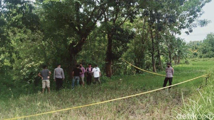 Lokasi penemuan mayat wanita di sawah tepi jalan Yogya-Solo, Kecamatan Delanggu, Klaten, Jumat (25/3/2022).