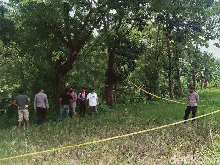 Lokasi penemuan mayat wanita di sawah tepi jalan Yogya-Solo, Kecamatan Delanggu, Klaten, Jumat (25/3/2022).