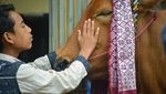 Denyut Tradisi Pacu Jawi di Ranah Minang