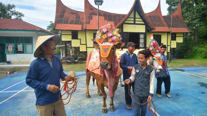MEMPERTAHANKAN EKSISTENSI PACU JAWI DI RANAH MINANG Pacu Jawi (bahasa Minang) atau yang dapat disebut sebagai
