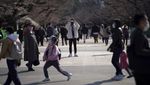Tak Cuma Cantik, Sakura di Jepang Ini Punya Filosofi Mendalam
