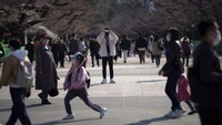 Bunga Sakura adalah bunga nasional Jepang yang mekar pada musim semi, yaitu sekitar akhir Maret hingga akhir Juni.