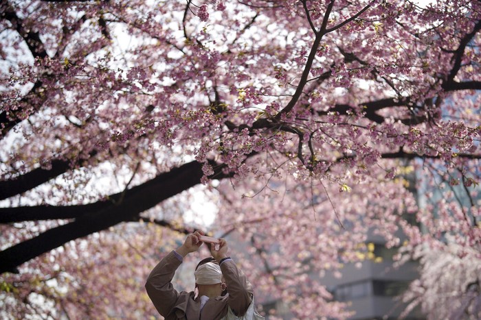 A woman wearing a protective mask to help curb the spread of the coronavirus takes photos of the seasonal cherry blossoms at the Ueno Park Thursday, March 24, 2022, in Tokyo. (AP Photo/Eugene Hoshiko)