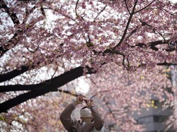 Ingin Liburan di Jepang dengan Bujet Tipis, ke Mana Ya?