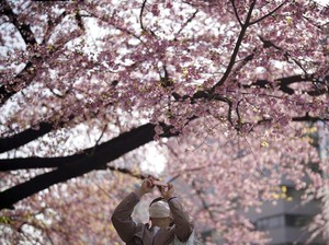 Ingin Liburan di Jepang dengan Bujet Tipis, ke Mana Ya?