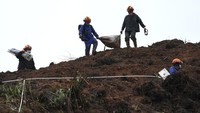 Selain itu, petugas dilaporkan telah menemukan kotak hitam (black box) kedua milik pesawat Boeing 737-800 milik maskapai China Eastern Airlines yang jatuh pada Senin (21/3) lalu. (AP Photo/Ng Han Guan).