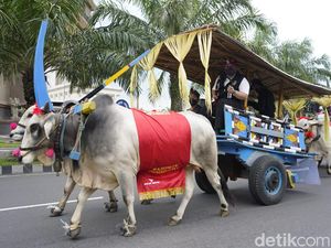 Parade Puluhan Cikar Meriahkan Hari Jadi ke-1218 Kabupaten Kediri