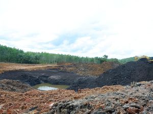Penambang Ilegal Ditangkap Lagi di IKN, Ngaku Dibekingi Pangdam-Kapolda