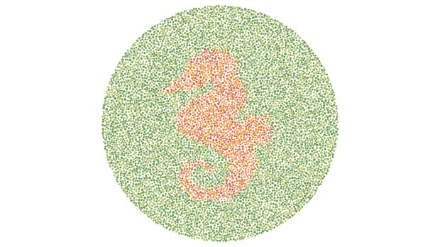 Tes buta warna Angka 2 atau Siluet Angsa? Tes Kemampuan Mata Kamu Melihat Warna