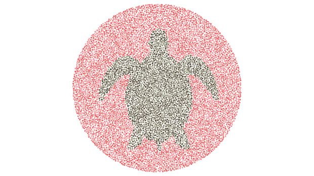 Tes buta warna Angka 2 atau Siluet Angsa? Tes Kemampuan Mata Kamu Melihat Warna