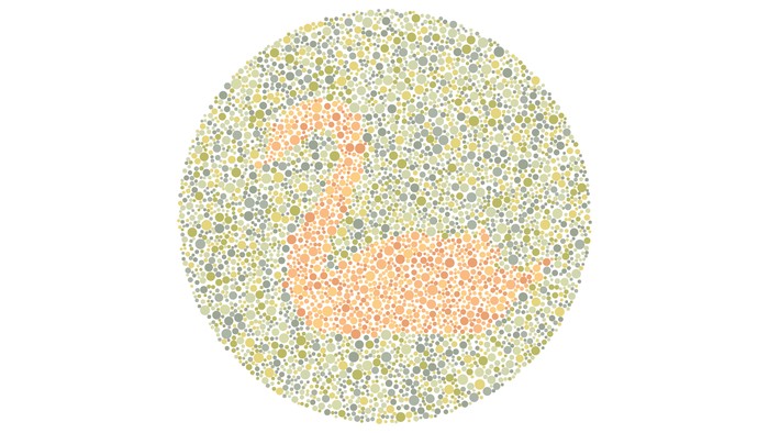 Angka 2 atau Siluet Angsa? Tes Kemampuan Mata Kamu Melihat Warna