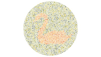 Angka 2 atau Siluet Angsa? Tes Kemampuan Mata Kamu Melihat Warna