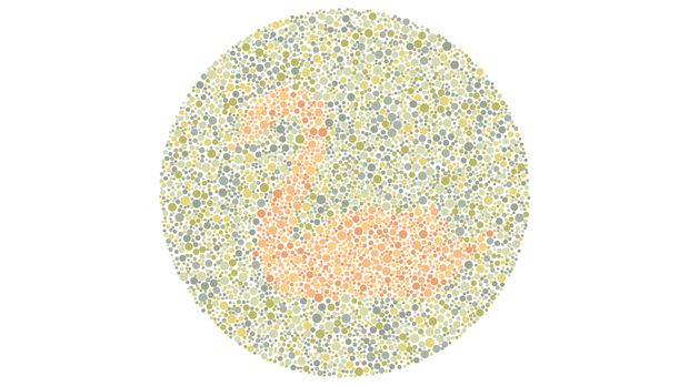 Tes buta warna Angka 2 atau Siluet Angsa? Tes Kemampuan Mata Kamu Melihat Warna