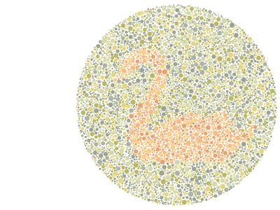 Angka 2 atau Siluet Angsa? Tes Kemampuan Mata Kamu Melihat Warna