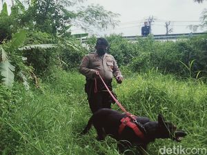 Terungkap! Ini Identitas Mayat Wanita Telanjang di Sawah Klaten