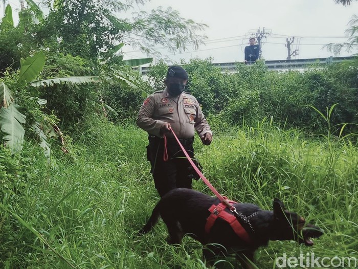 Anjing pelacak dikerahkan ke lokasi penemuan mayat wanita telanjang dada di tepi jalan Yogya-Solo, Delanggu, Klaten, Sabtu (26/3/2022).