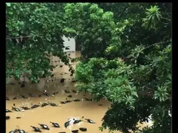 Jangan Sekali Lihat, Foto Ini Benar-benar Mengecoh Mata