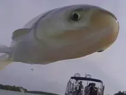 Jangan Sekali Lihat, Foto Ini Benar-benar Mengecoh Mata