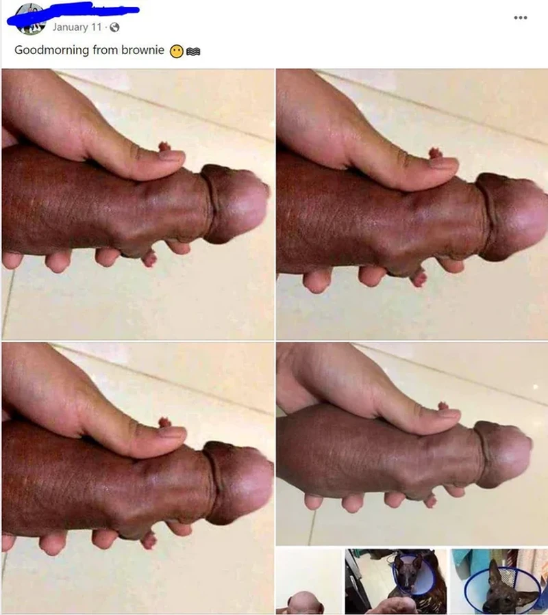 Foto mengecoh mata