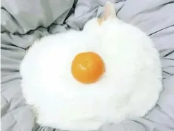 Jangan Sekali Lihat, Foto Ini Benar-benar Mengecoh Mata