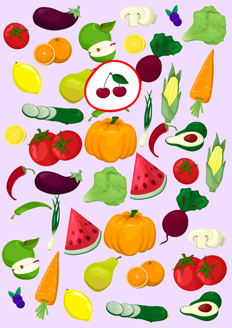 fotoinet  Uji Seberapa Cepat Otak dan Mata Menemukan Objek Tak Sepasang  61