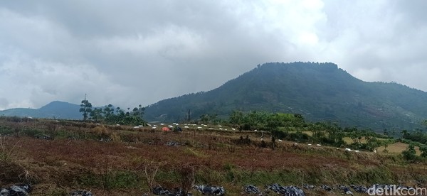 Dusun Legetang saat itu berada di Desa Pekasiran, sebuah desa di pegunungan Dieng, Kecamatan Batur, Kabupaten Banjarnegara. Dusun Legetang saat itu berada di Desa Pekasiran, sebuah desa di pegunungan Dieng, Kecamatan Batur, Kabupaten Banjarnegara.Â