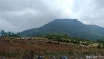Legetang, Kisah Dusun di Dieng yang Hilang dalam Semalam