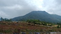 Dusun Legetang saat itu berada di Desa Pekasiran, sebuah desa di pegunungan Dieng, Kecamatan Batur, Kabupaten Banjarnegara. 